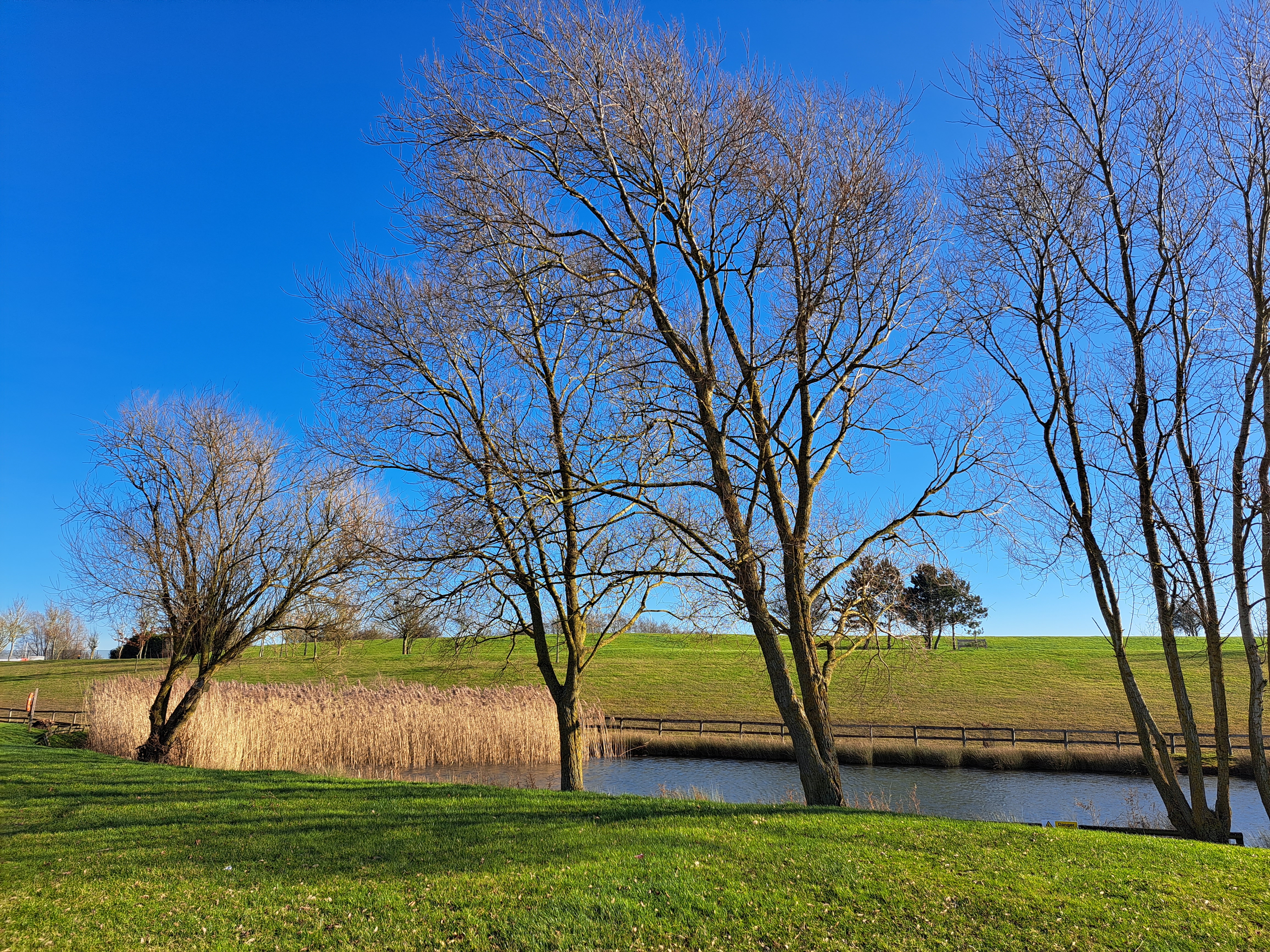 British Motor Museum - Green Spaces